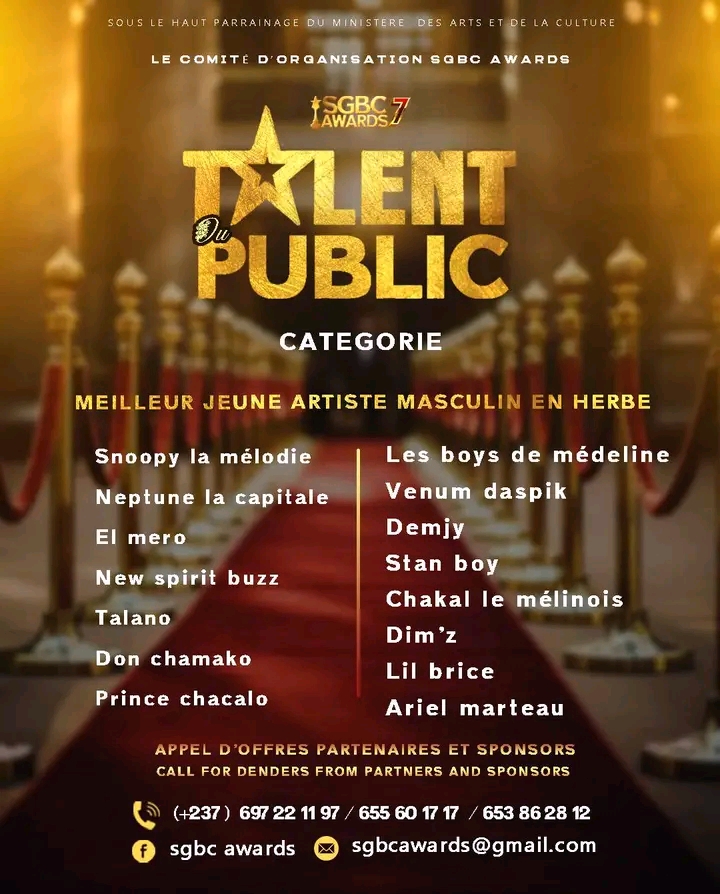 MEILLEUR JEUNE ARTISTE MASCULIN 